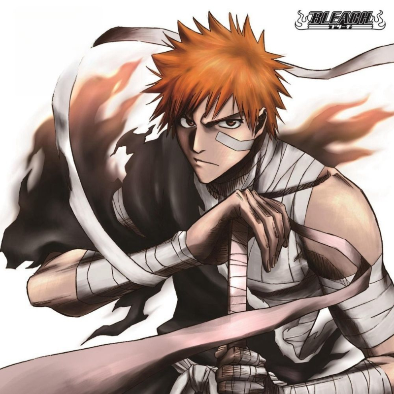 Game Bleach Sagisu Shiro Music – обзор и цена Party Games Game